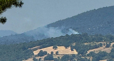 Dursunbey’de Çıkan Yangın Ormana Sıçradı