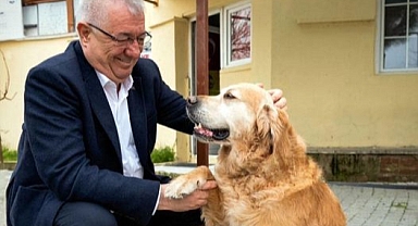 Edremit Belediye Başkanı Mehmet Ertaş, Hayvan Hakları İçin Sesini Yükseltti