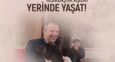 Gömeç Belediye Başkanı Melih Bağcı’dan Hayvan Hakları Üzerine Açıklama