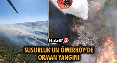 Susurluk'un Ömerköy’de Orman Yangını
