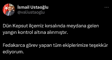 Vali İsmail Ustaoğlu, Kepsut'taki Yangınla İlgili Mesaj Yayımladı