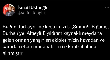 Vali İsmail Ustaoğlu'ndan Orman Yangınlarıyla İlgili Mesaj