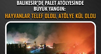 Balıkesir’de Palet Atölyesinde Büyük Yangın: Hayvanlar Telef Oldu, Atölye Kül Oldu