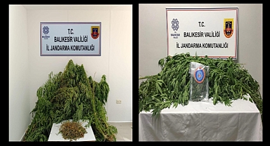 Balıkesir’de Uyuşturucu Operasyonu’nda 560 Gram Esrar ve 62 Kök Kenevir Ele Geçirildi!