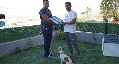 Balıkesirliler, Sokak Hayvanlarına Sahip Çıkıyor