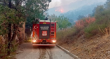 Başkan Akın'dan İzmir Yangınlarına Destek