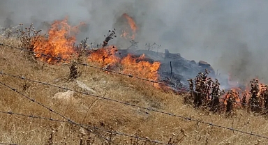 Çamlık'ta Korkutan Yangın: Trafo Patlaması Felakete Neden Oluyordu