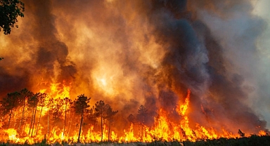 Canbey: “Dualarımız Yangın Bölgeleriyle, Rabbim Milletimizi Tüm Afetlerden Korusun”