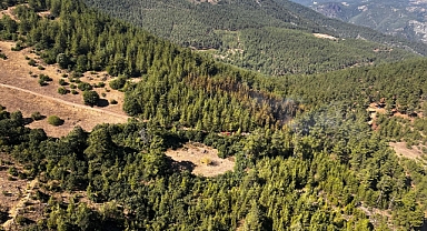 Dursunbey'deki Orman Yangını Kontrol Altına Alındı