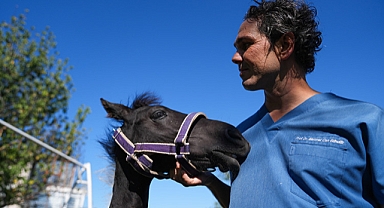 Türkiye'ye İlk Kez Bir Tüp Tay Kazandıran BAÜN, Hayvancılıkta Devrim Yarattı!