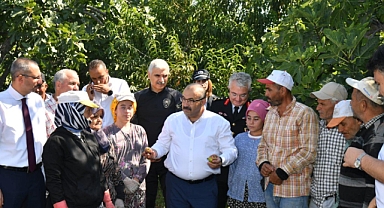 Vali İsmail Ustaoğlu, Havran İnciri Hasatına Katıldı