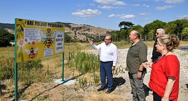 Vali Ustaoğlu, Arı Şifa Merkezi'ni Ziyaret Ederek Çalışmaları İnceledi