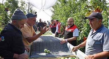 Balıkesir’de Elma Hasadı Başladı: Vali İsmail Ustaoğlu Hasat Programına Katıldı