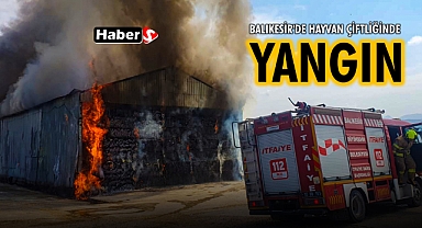 Balıkesir'de Hayvan Çiftliğinde Yangın