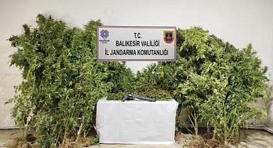 Balıkesir’de Uyuşturucu Operasyonu: Kenevir ve Skunk Madde Ele Geçirildi