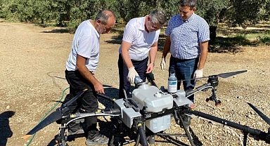 Balıkesir'de Zeytin Sineği ile Mücadelede Tarım ZİHA'larıyla Teknolojik Dönüşüm