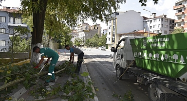Dursunbey Belediyesi’nden Park ve Bahçelerde Bakım ve Temizlik Çalışmaları