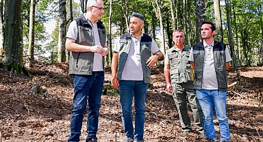 Kayın Ormanlarında Yeşil Devrim: Bölge Müdürü Sahada!