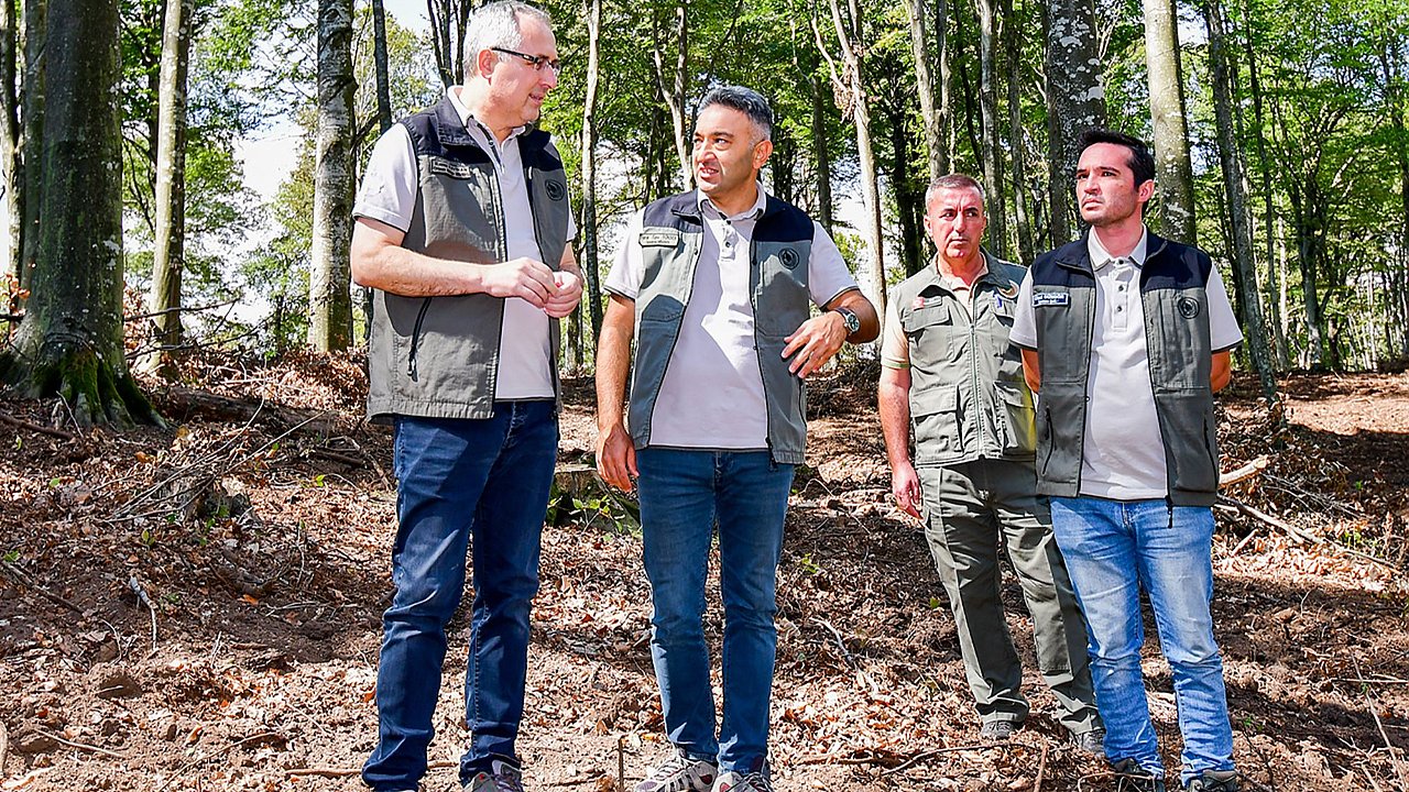 Kayın Ormanlarında Yeşil Devrim: Bölge Müdürü Sahada!