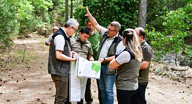 Kazdağı Milli Parkı’na Yeni Projeler Geliyor: Orman Yolları Yenileniyor
