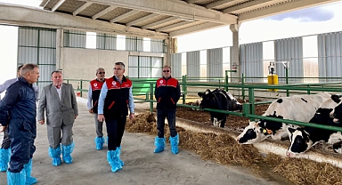 Balıkesir’de Hastalıktan Ari Hayvancılık İşletmeleri Artıyor