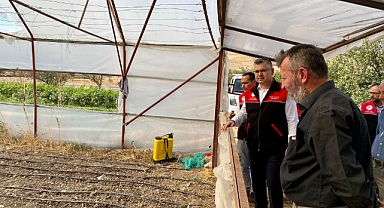 Balıkesir'de Sera Örtüleri Yenileniyor: 15 Milyon Liralık Destek