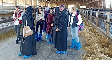 Balıkesir’den Sofralarımıza Kaymak Projesi ile Kadın Üreticilere Teknik Eğitim Ziyareti