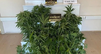 Balıkesir Emniyeti'nden Narkotik Operasyonu: Çok Sayıda Madde Ele Geçirildi