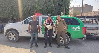 Balıkesir Jandarması'ndan Kaçak Avcılıkla Mücadele ve Yaban Hayvanlarının Korunmasına Yönelik Denetim