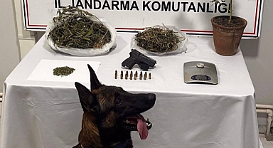 Balıkesir Jandarması’ndan Kaçakçılığa Karşı Operasyon: 51 Şüpheli Yakalandı