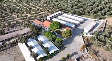 Burhaniye Belediyesi’nden Hayvanlara Şefkat Dolu Destek