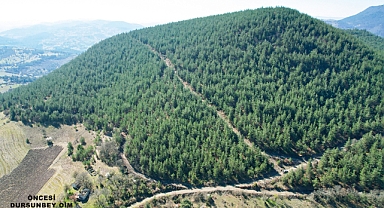 Dursunbey Ormanlarında Yangın Tedbirleri: Meşcere Bakım Çalışmaları Sürüyor