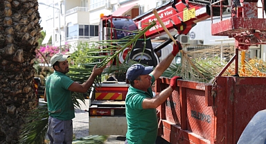 Edremit Belediyesi Ağaç Bakım Çalışmalarına Devam Ediyor