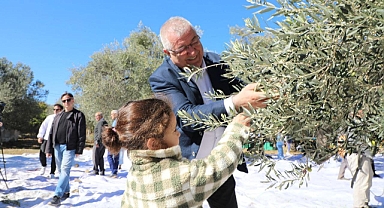 Edremit Zeytinyağı Tadım Festivali’nde Zeytin Hasadı Coşkusu