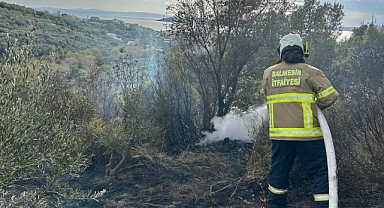 Erdek'teki Orman Yangını Hızla Kontrol Altına Alındı
