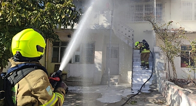 Her Can kıymetlidir: Muhabbet kuşu son anda kurtarıldı