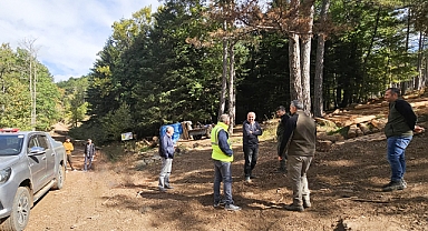 Kazdağı Karaçam Ormanları Geleceğe Hazırlanıyor