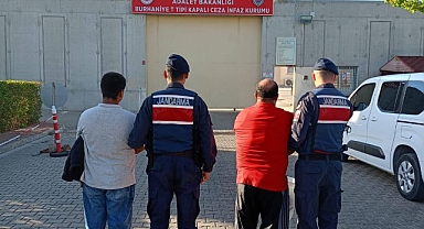 Körfez'de Zeytin Hırsızlığına Karşı Komando Destekli Operasyon