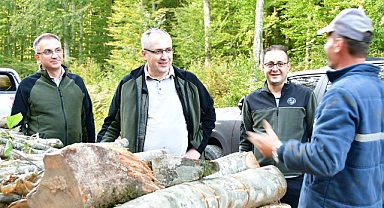 Orman Bölge Müdürü Kayıran, Dikili Satış Üretimlerini Yerinde İnceledi