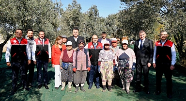 Vali İsmail Ustaoğlu Havran’da Zeytin Hasadına Katıldı
