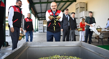 Vali İsmail Ustaoğlu, Havran’da Zeytinyağı Üretim Tesisi’ni Ziyaret Etti
