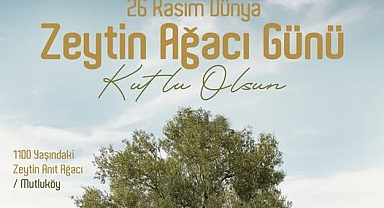 Ayvalık Belediye Başkanı Mesut Ergin: Dünya Zeytin Ağacı Günü Kutlu Olsun
