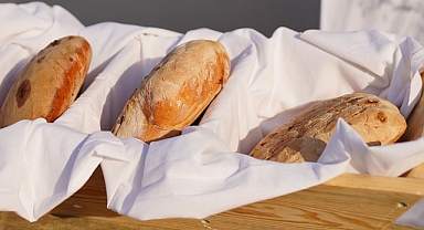 Ayvalık Belediyesi Kooperatifi ve Mahalleevleri, Hasat Festivali’nde İlgi Odağı Oldu