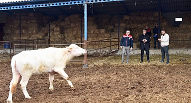Balıkesir’de Manda Yetiştiriciliği Hızla Gelişiyor: Altıeylül Balıklı Mahallesi’nde Üreticilerle Buluşma