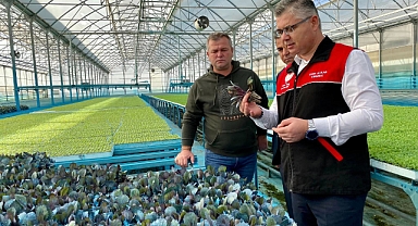 Balıkesir’e Doku Kültürü Laboratuvarı Kuruluyor: Tarımda Yeni Bir Dönem Başlıyor