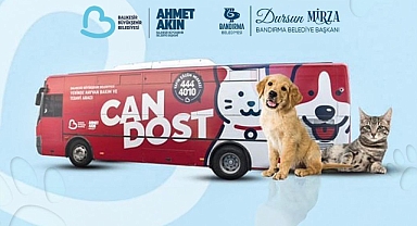 Bandırma Belediyesi: Vetbüs, Minik Dostlarımızın Sağlık Kontrolleri İçin Cumhuriyet Meydanı'nda Hizmet Verecek