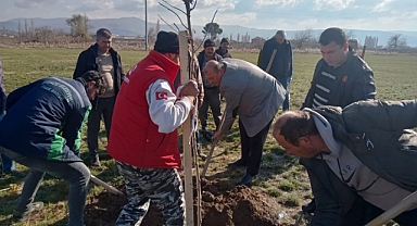 Bigadiç Belediyesi’nden Daha Yeşil Bir Gelecek İçin Adım: Millet Bahçesi’nde 300 Londra Çınarı Dikildi
