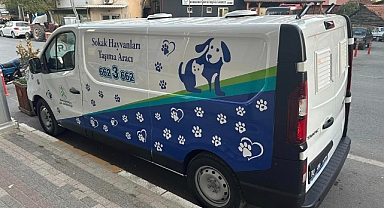 Dursunbey Belediyesi, Sokak Hayvanlarına Yönelik Yeni Bir Adım Attı