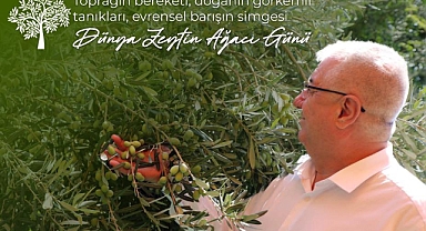 Edremit Belediye Başkanı Mehmet Ertaş’tan Dünya Zeytin Ağacı Günü Mesajı: “Kadim Zeytin Ağaçlarını Geleceğe Miras Bırakacağız”
