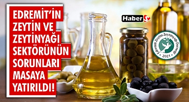 Edremit'in Zeytin ve Zeytinyağı Sektörünün Sorunları Masaya Yatırıldı! 